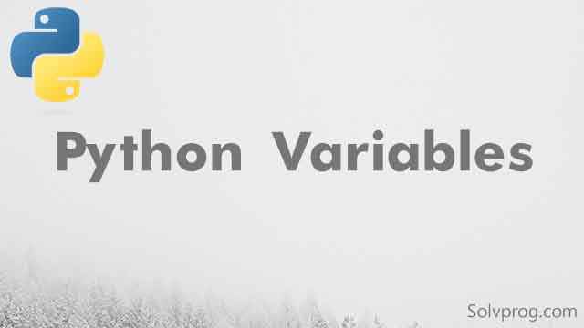 Python Variables: Definition, Usage, and Examples